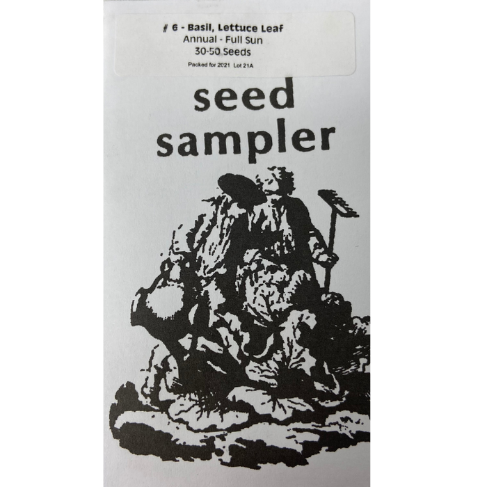 Basil - Lettuce Leaf, 30-50 seeds per packet