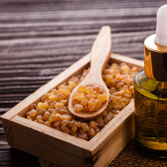 Frankincense oil: The 'King' of oils