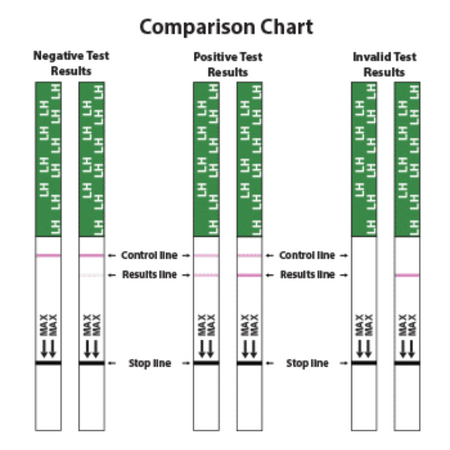 Ovulation Test Strip