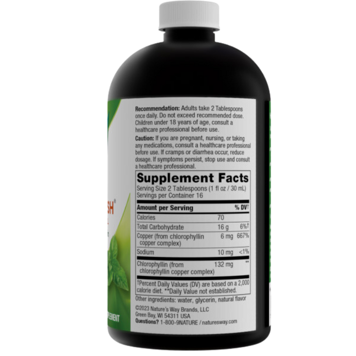 Chlorofresh - Natural Mint Flavor, 16oz