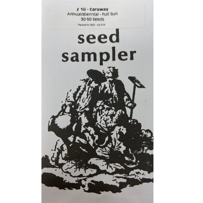 Caraway, 30-50 seeds per packet