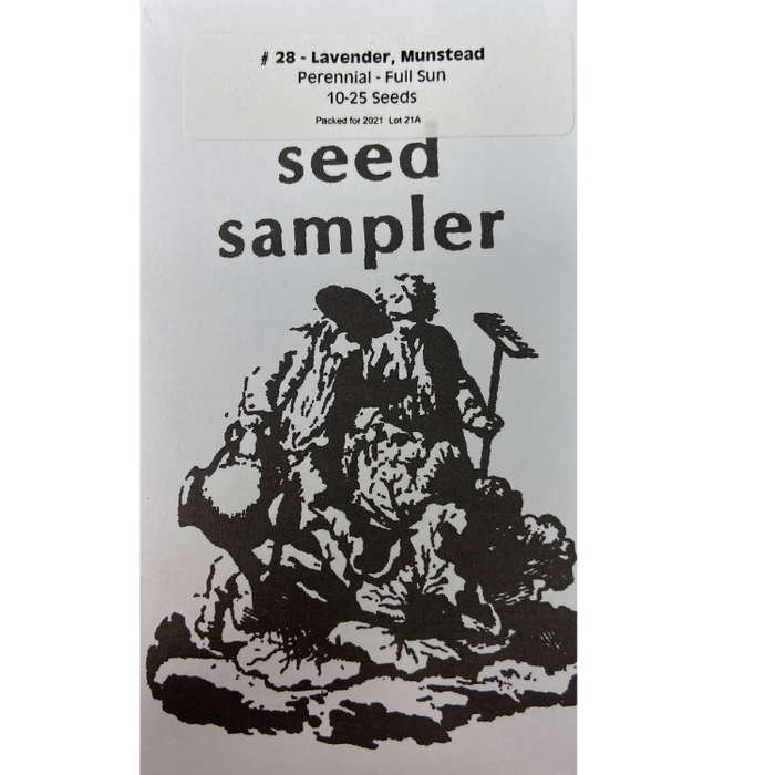 Lavender - Munstead, 10-25 seeds per packet