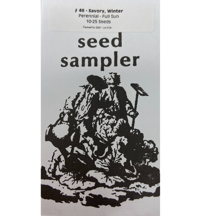 Savory - Winter, 10-25 seeds per packet