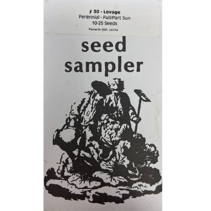 Lovage 10 - 15 Seeds