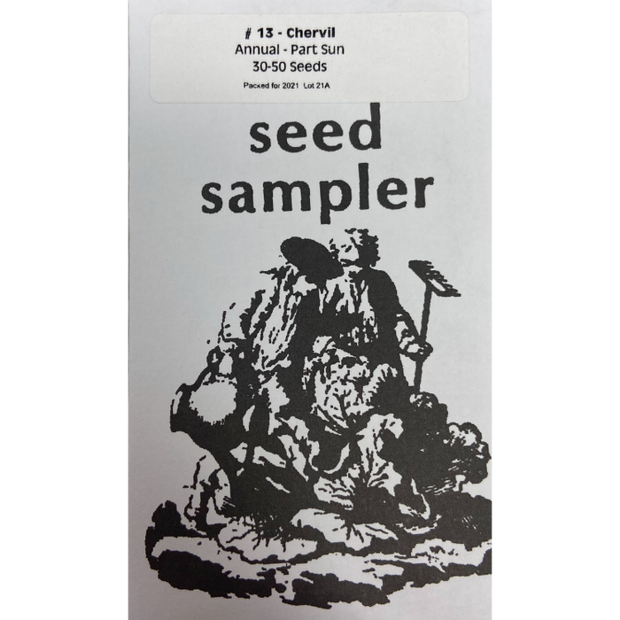 Chervil 30-50 Seeds